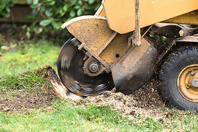 Stump Grinding in Mobile AL