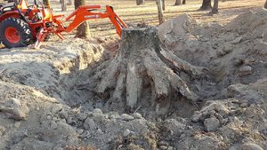 Large Stump Removal Mobile AL