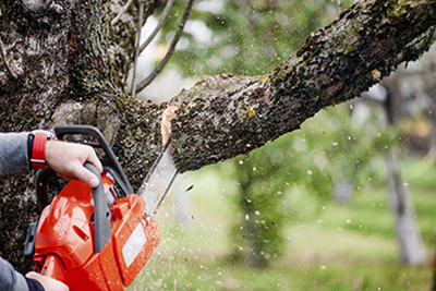 Tree Trimming Prichard AL